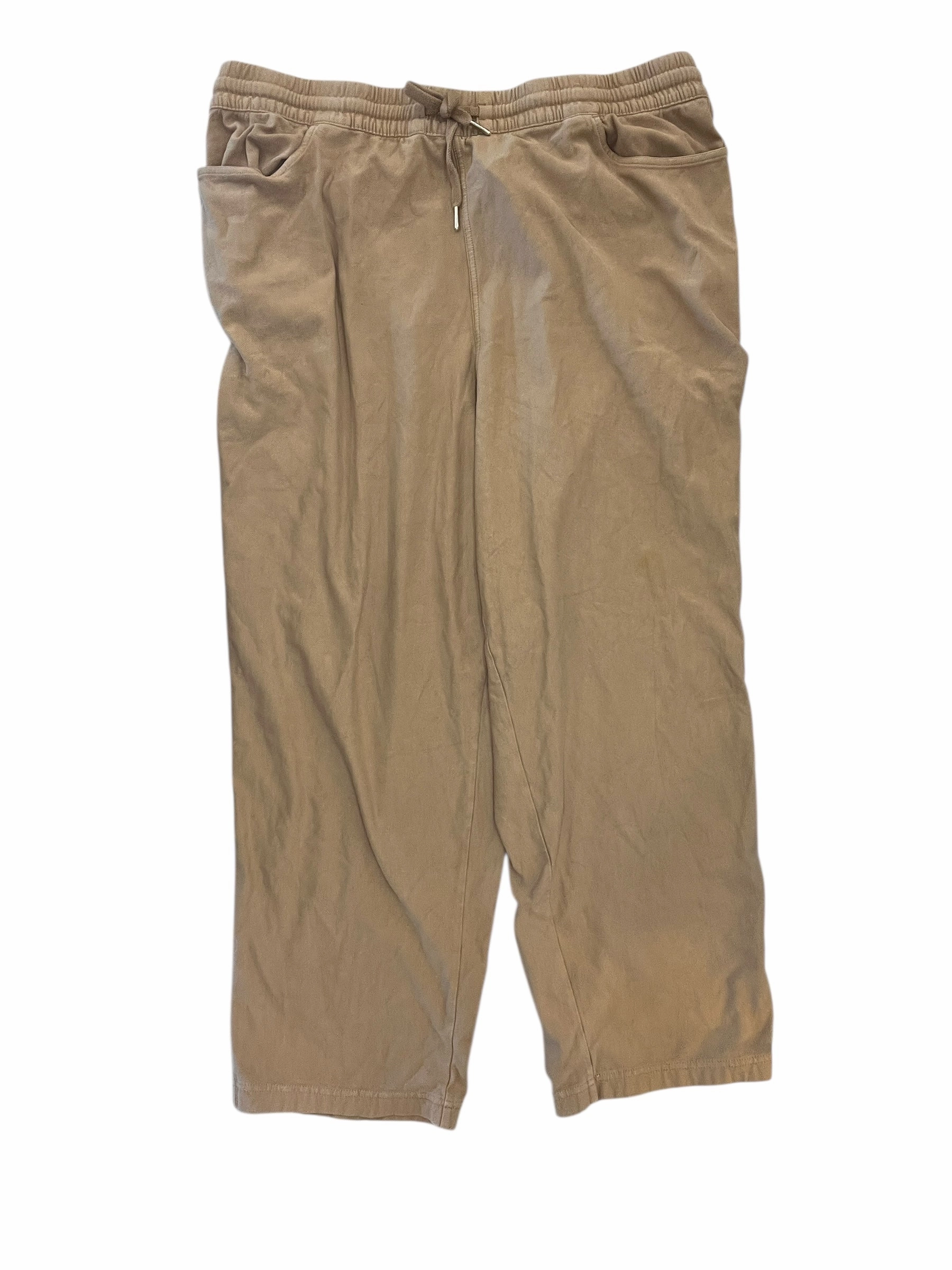 Active Performance Abrasion Resistant Surface Athletic Pants By Athleta In Brown, Size:2X