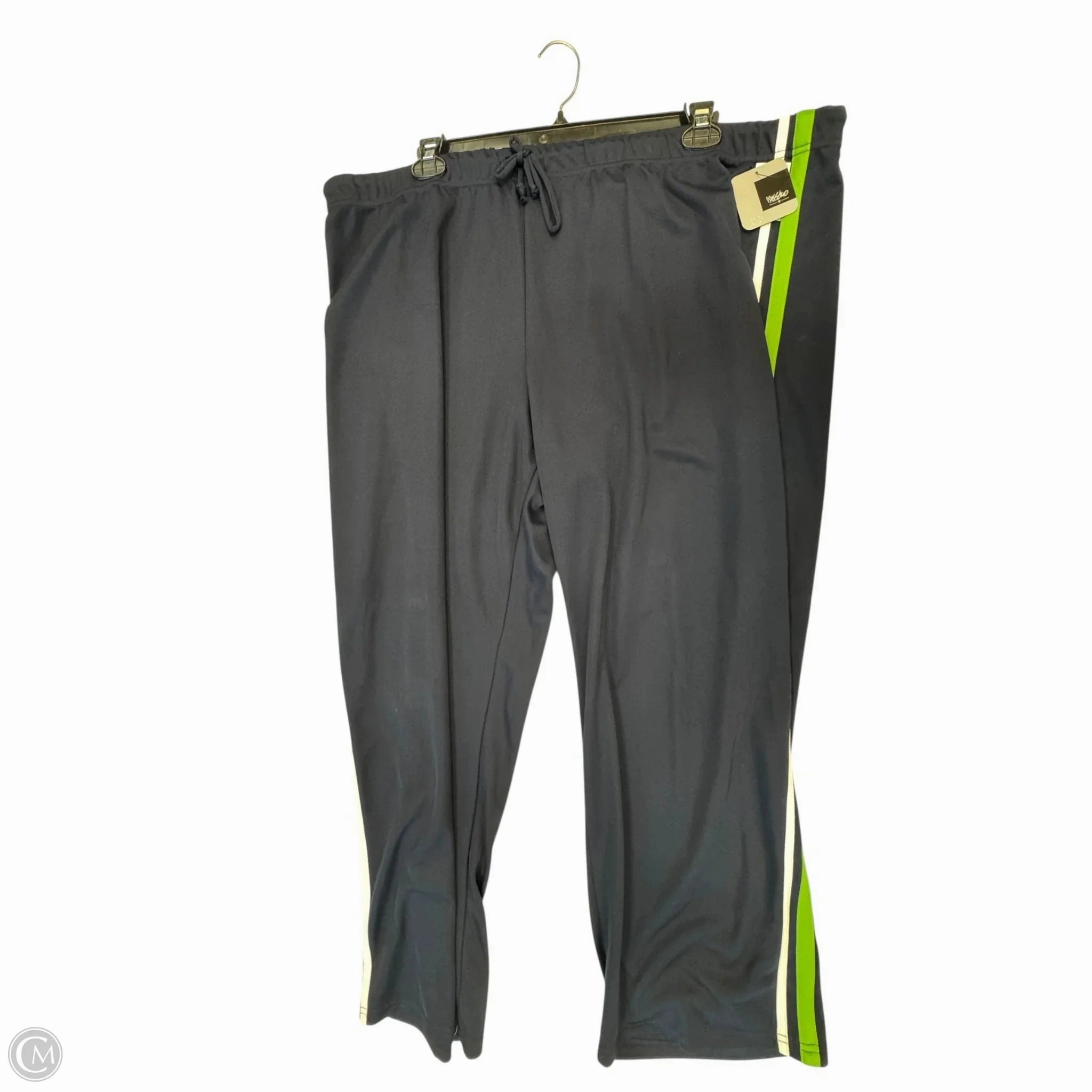 Athletic Pants By Mossimo In Blue & Green, Size: 3x Quick Fit Design