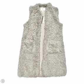 Quick Pull Zipper Vest Faux Fur & Sherpa By Ashley By 26 Int In Grey, Size: Xl