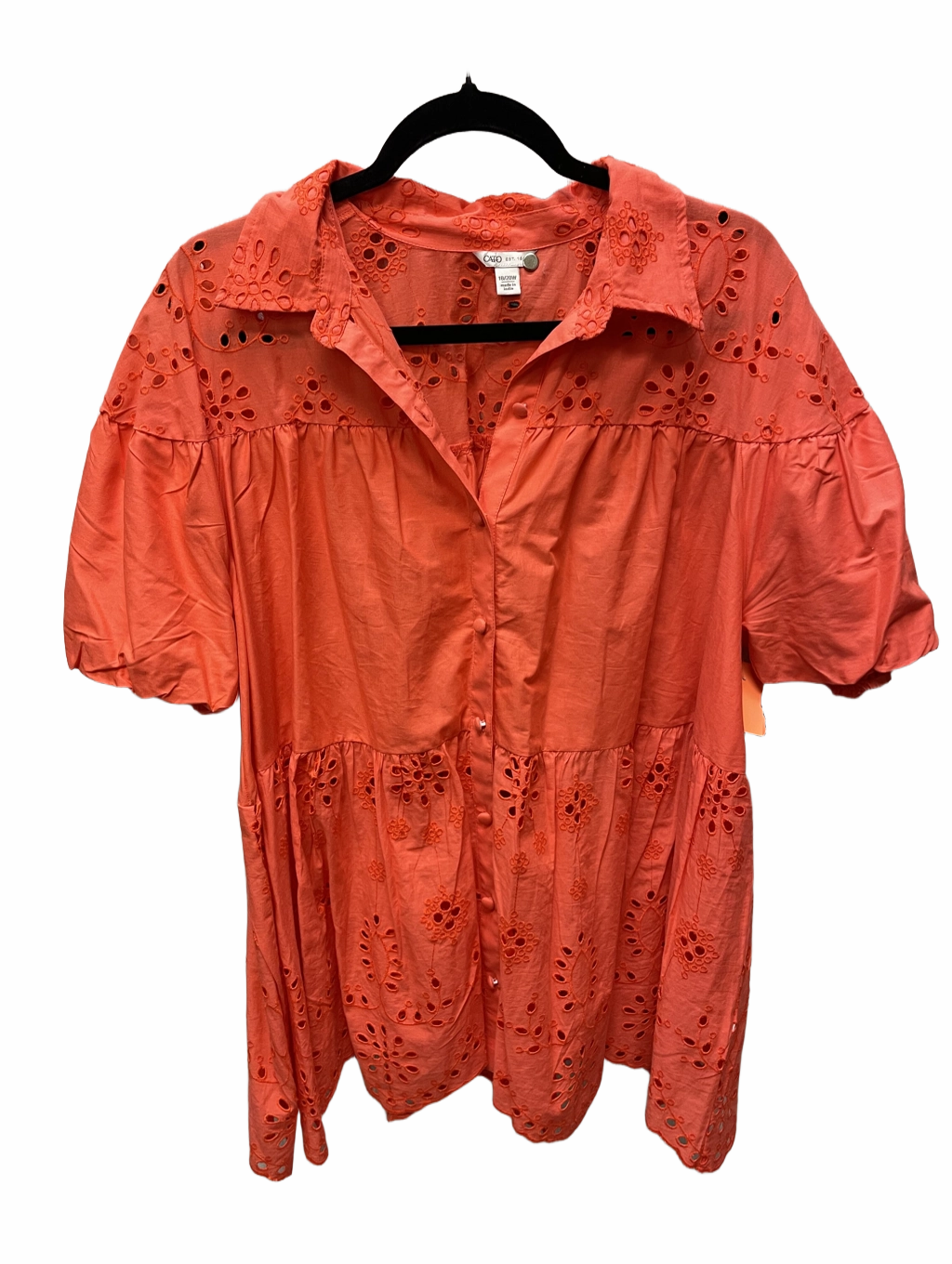 Top Short Sleeve By Cato  Size: 2x Evergreen