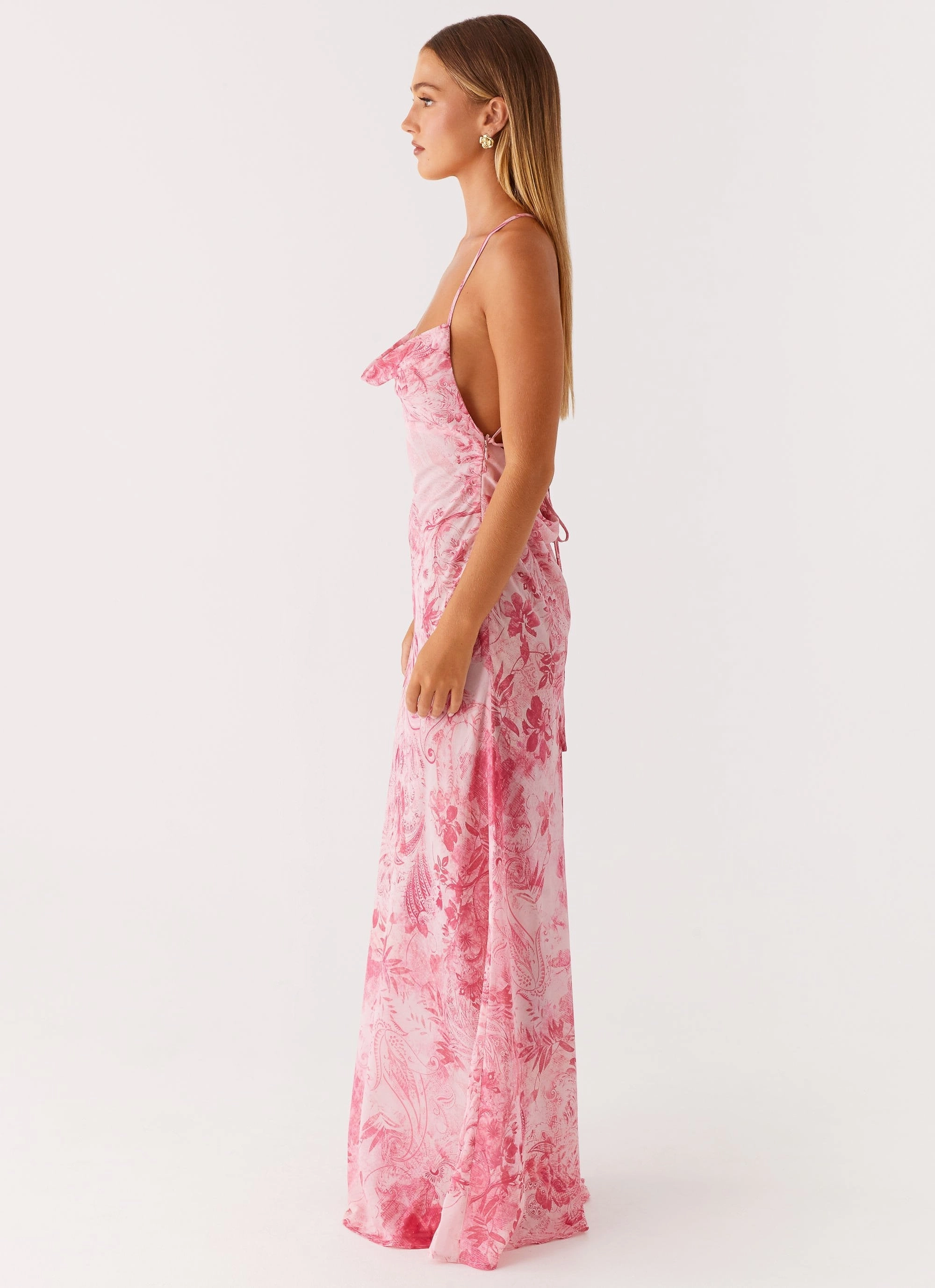 Outdoor Scene soft elegance Tara Maxi Dress - Pink Print