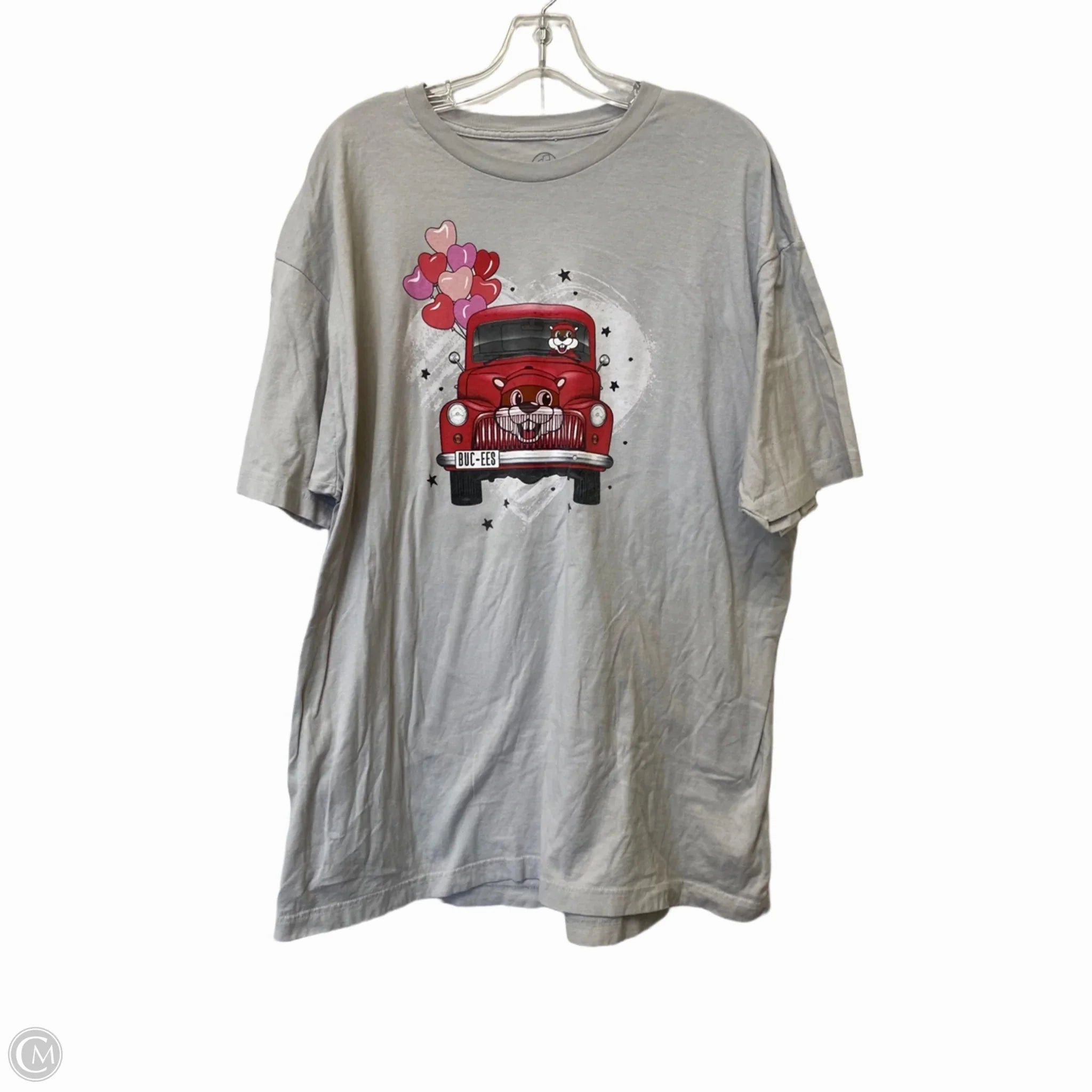 Top Short Sleeve By Clothes Mentor In Green, Size: 2x Bohemian