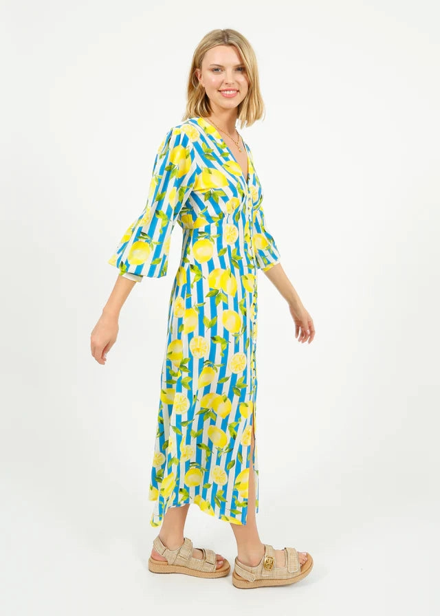 Stylish Waistband Design Chic Mom PP Opal Dress in Lemons