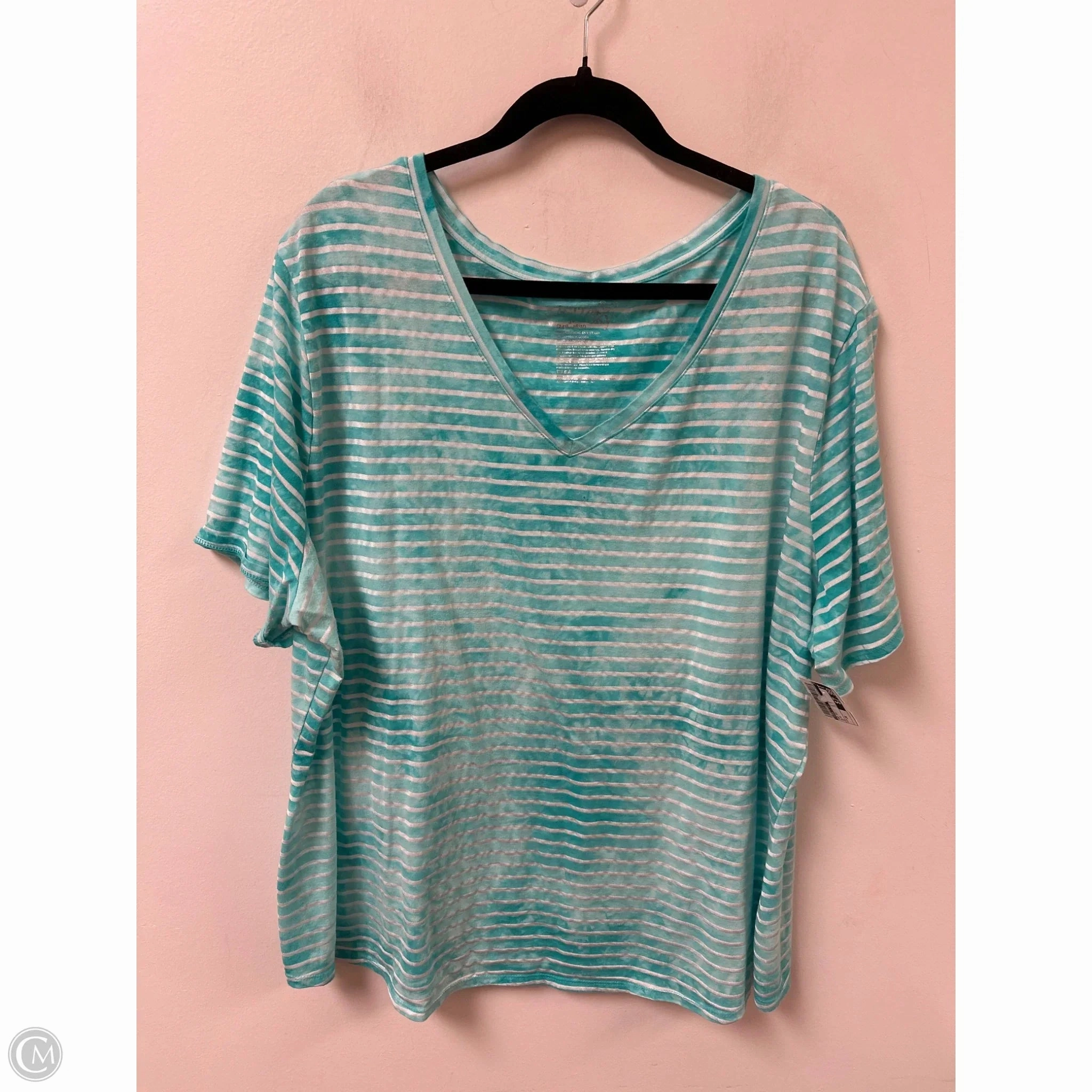 Casual Layers Elderly Comfort Top Short Sleeve By Terra & Sky In Blue, Size: 3x