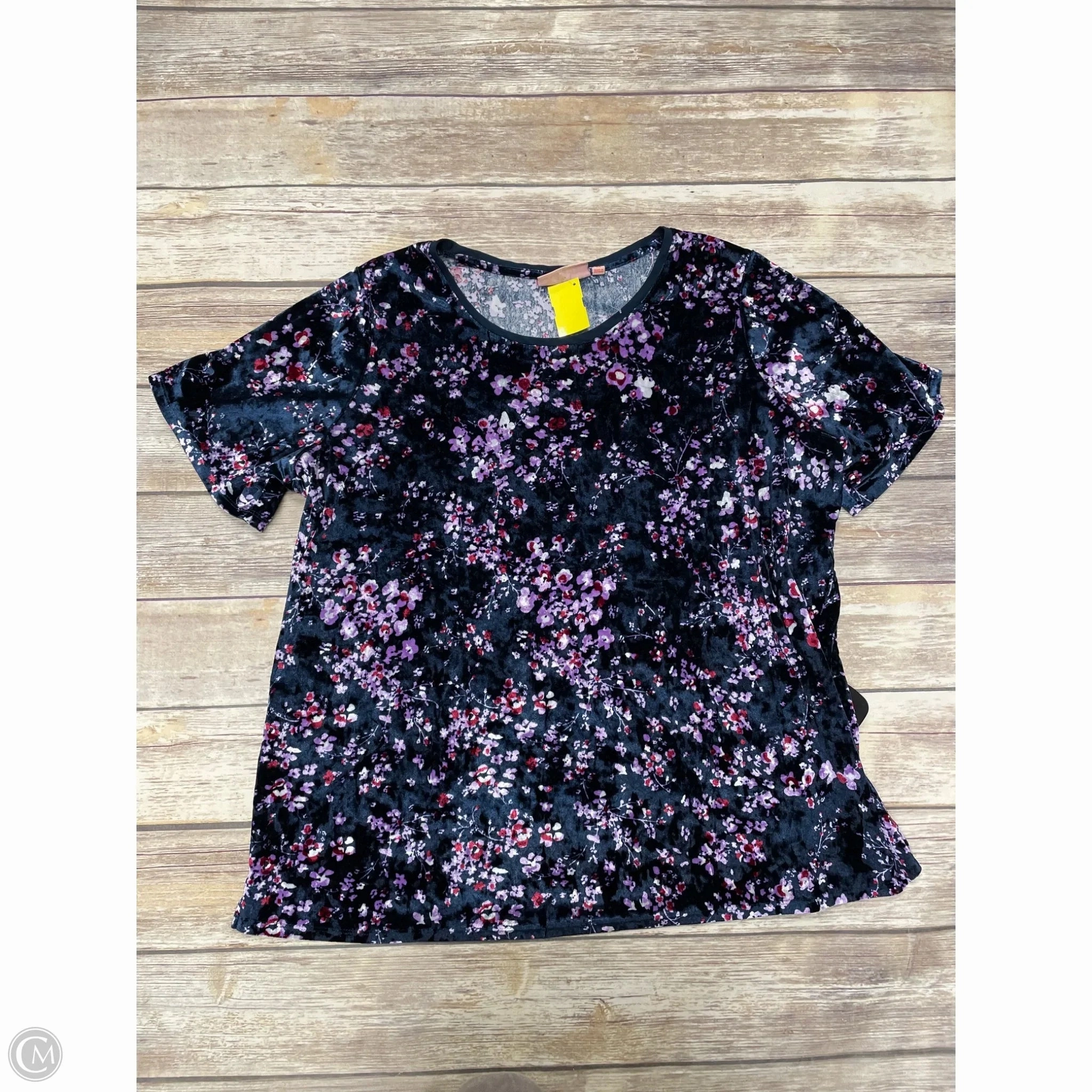 Edgy Top Short Sleeve By Evri In Multi-colored, Size: 1x