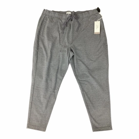 Timeless Comfort Wear Chilly Layering Athletic Pants By Not Your Daughters Jeans In Grey, Size:2X