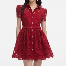 Inner lining Easy Fit Self Portrait  112 Lace Collared Mini Dress in Burgundy