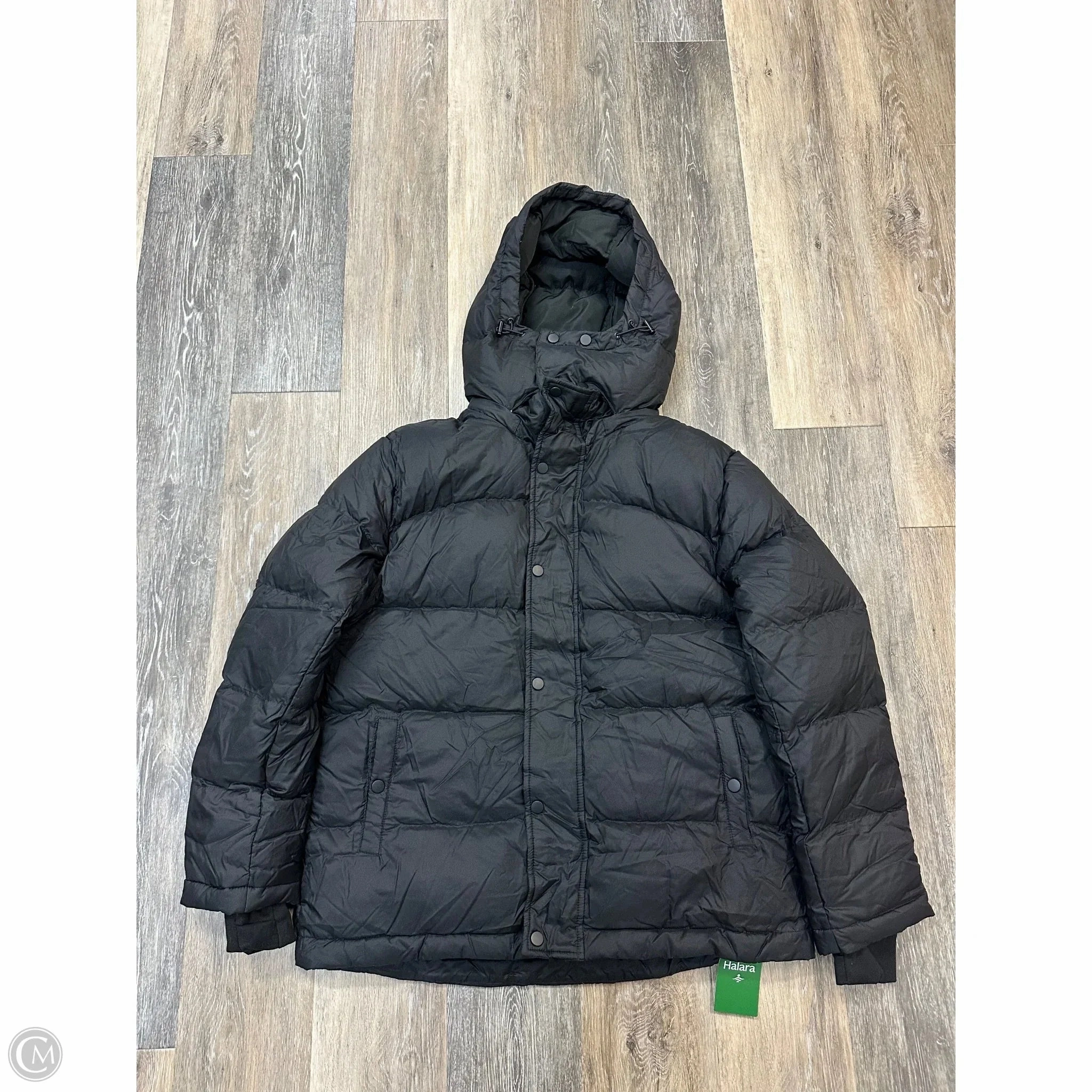 Cross Ventilation Panels Coat Puffer & Quilted By Halara In Black, Size: M